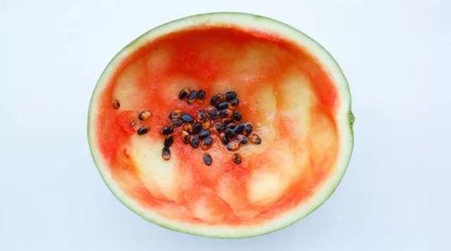 西安财经吃瓜事件真相视频,真相视频背后的真相揭晓