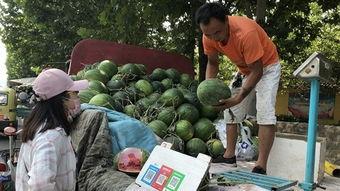 济宁近期吃瓜事件视频