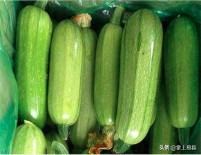 吃西葫芦瓜要削皮吗视频