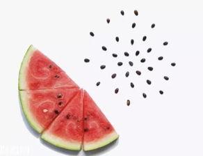 吃瓜吐籽特效视频,揭秘吃瓜吐籽特效视频背后的奥秘