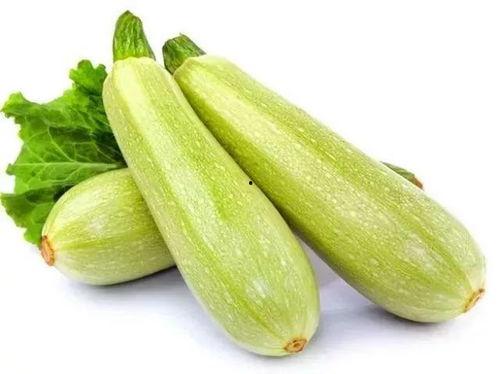 三伏天可以吃白瓜吗视频,白瓜的神奇功效与食用指南