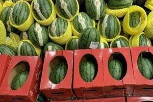 河南大网红吃大瓜视频