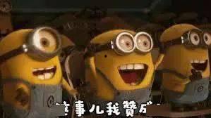 小黄师徒现场吃瓜视频在线观看,趣味横生瞬间回顾