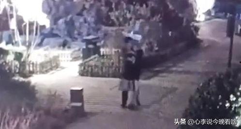 兰州老街吃瓜视频有哪些,一场视觉与味蕾的双重盛宴